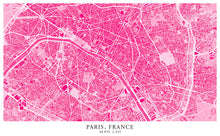 Load image into Gallery viewer, Paris - Raspberry Edition - Tapestry Maps