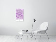 Load image into Gallery viewer, 6115431-1442570
