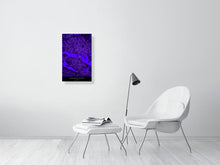 Load image into Gallery viewer, 6115425-1442555
