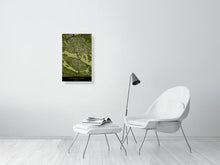 Load image into Gallery viewer, 6115426-1442558
