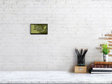 Load image into Gallery viewer, 6241498-1457314
